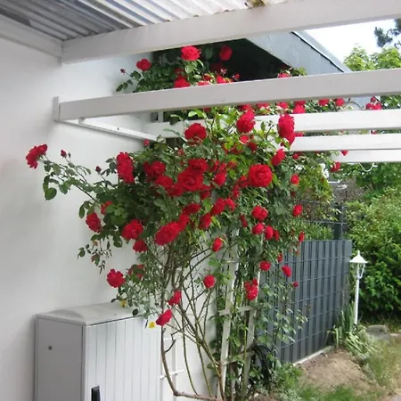 Prázdninový dům Satelsroenne 03