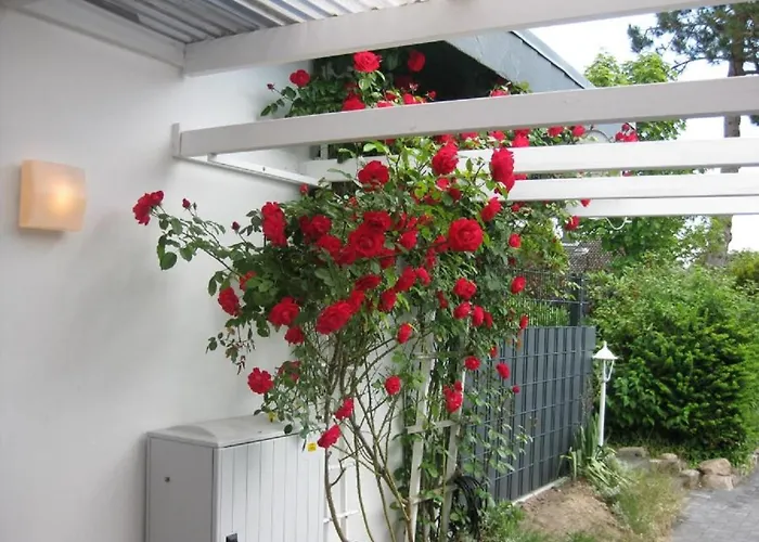 Hébergement de vacances Satelsroenne 03